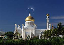 Brunei Darussalam 1GB Daily Plan