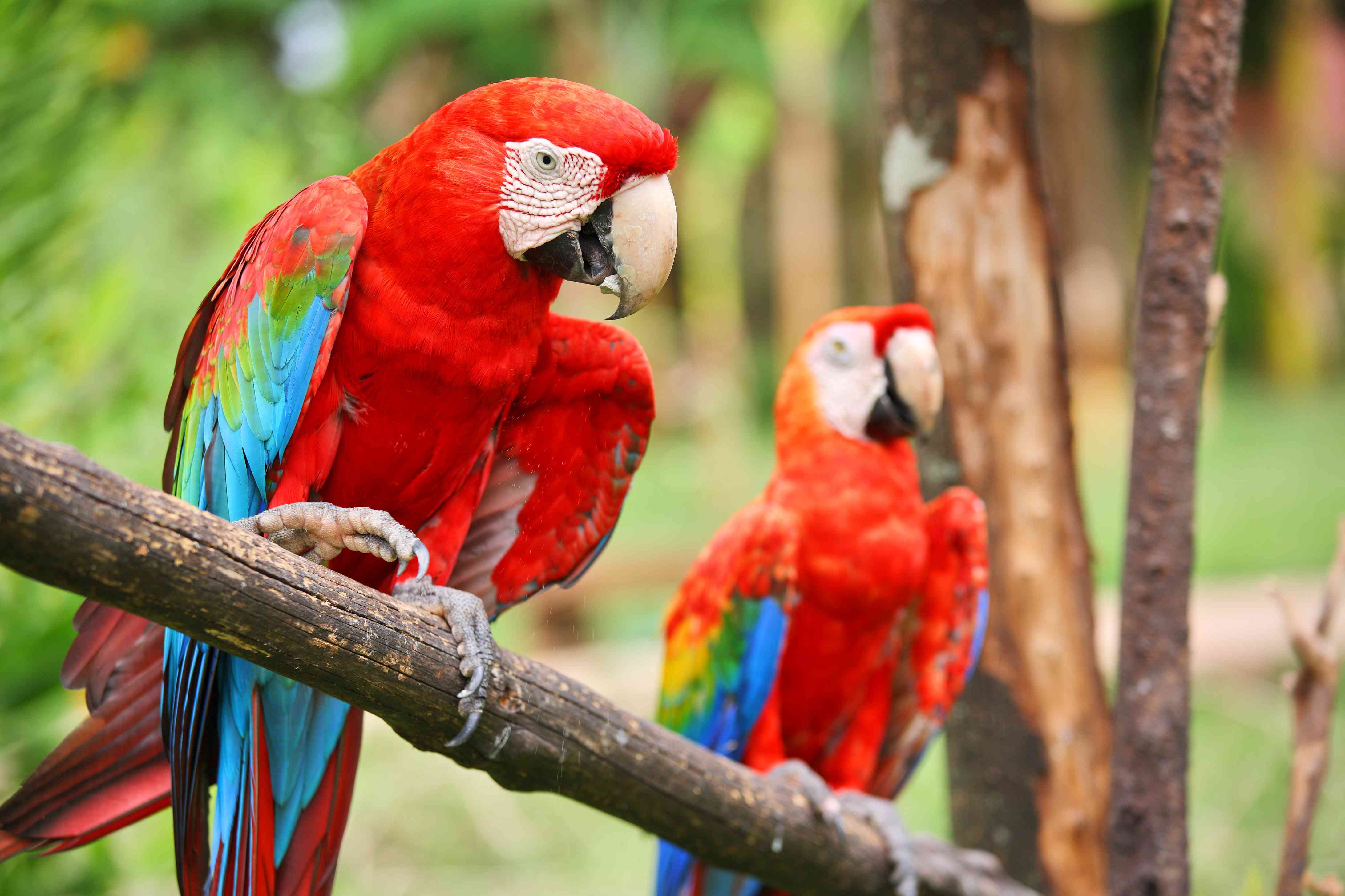 French Guiana 3GB Daily Plan
