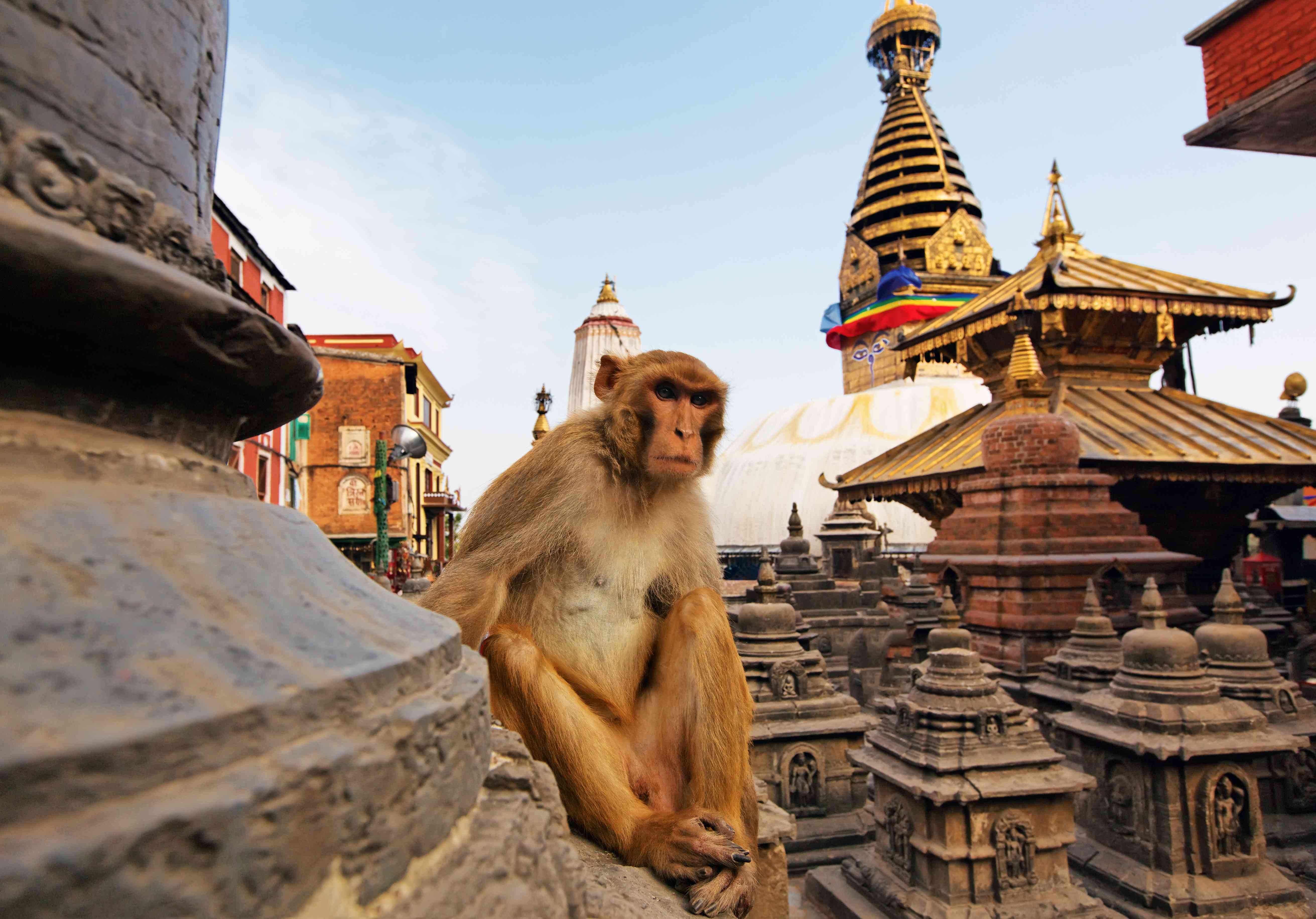 Nepal 3GB Daily Plan