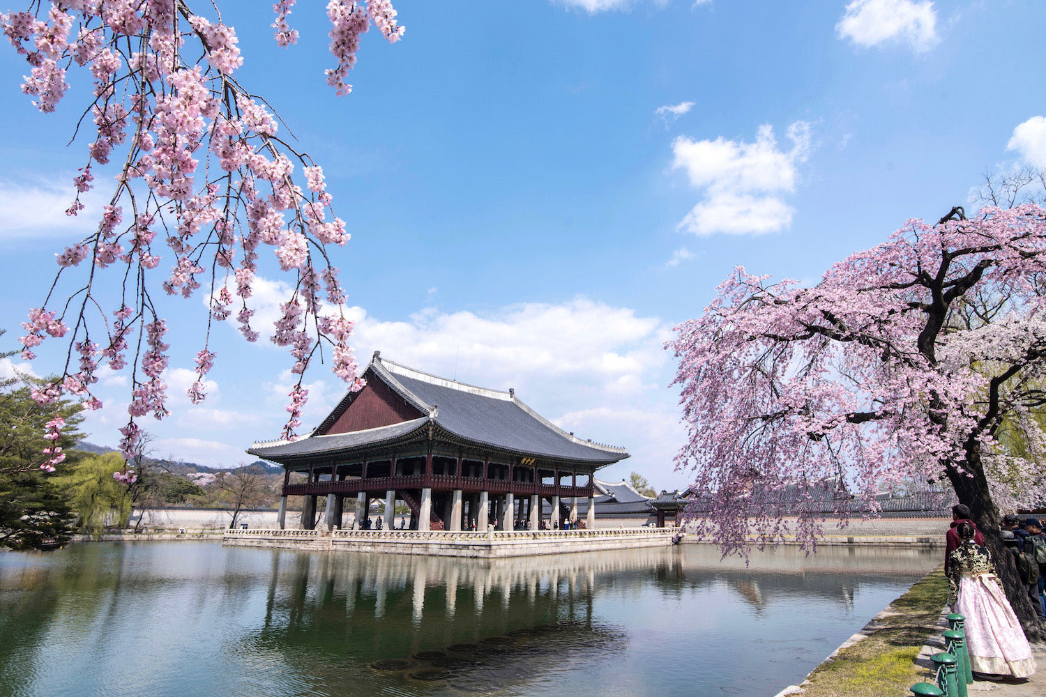 South Korea Unlimited Daily Plan